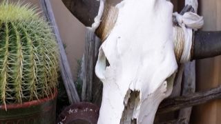 Rough POV porn play along naughty Japanese Ibuki playboyzach bbc