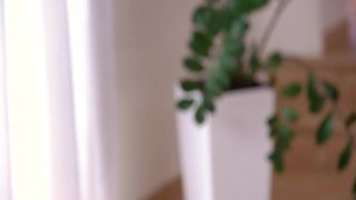 Girls Out West - Hairy Pussy Pounded layla price porn