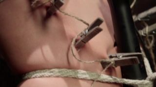 PervCity Wifes Gone Wild Preview jessy jones porn