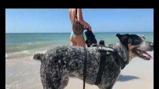 AnalAcrobats Lesbian Anal POV lexi luna full video